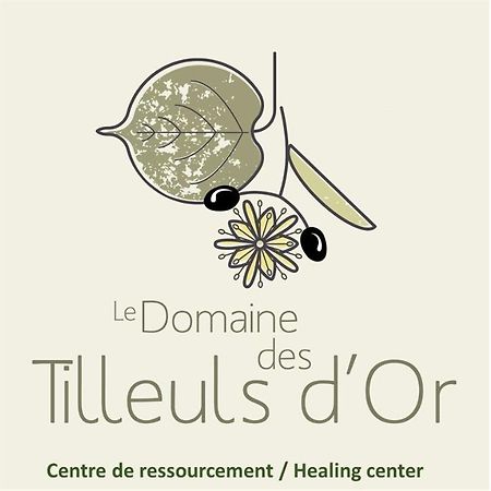 Domaine Des Tilleuls D'Or Saint-Cézaire-sur-Siagne Buitenkant foto
