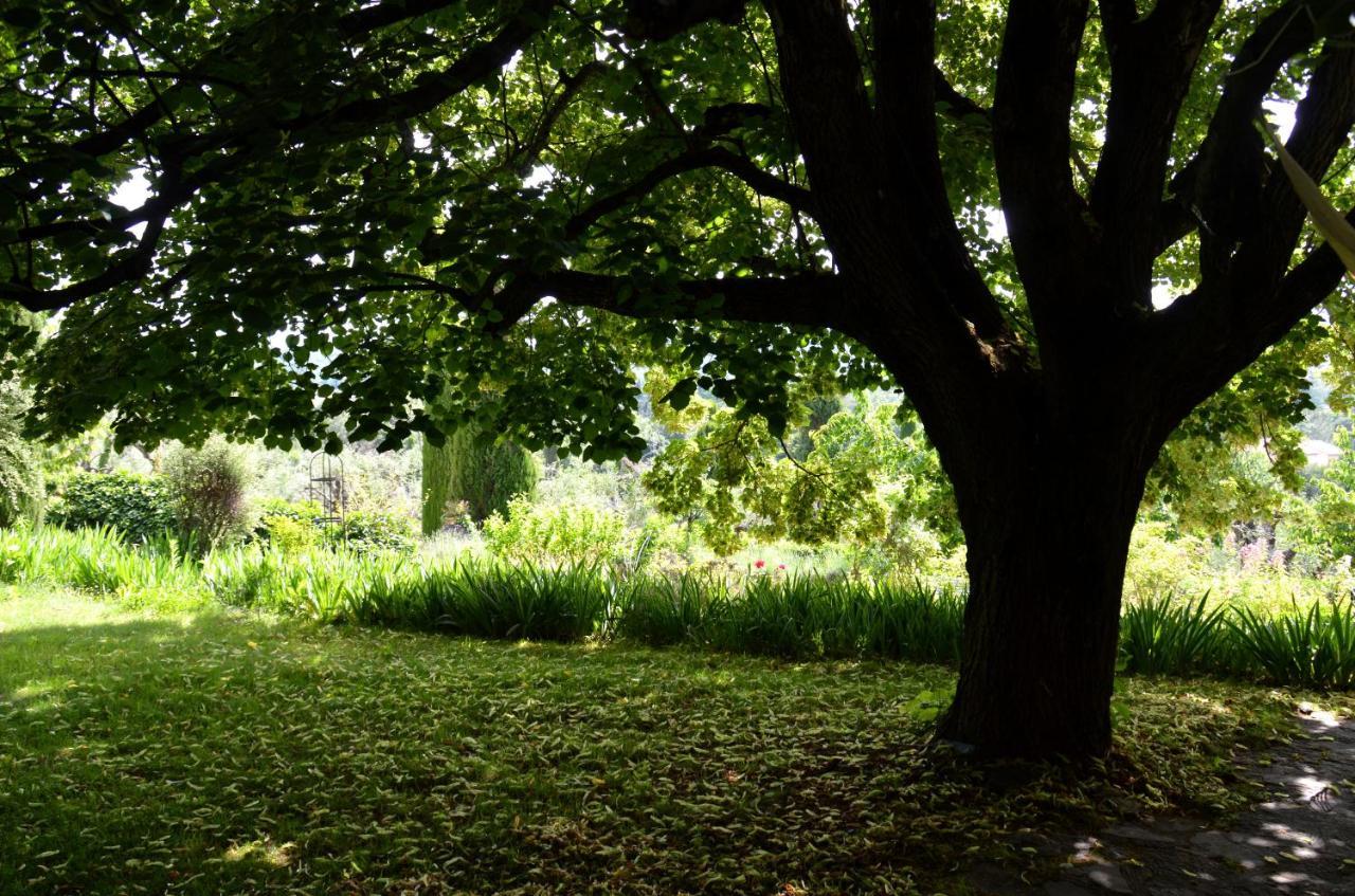 Domaine Des Tilleuls D'Or Saint-Cézaire-sur-Siagne Buitenkant foto