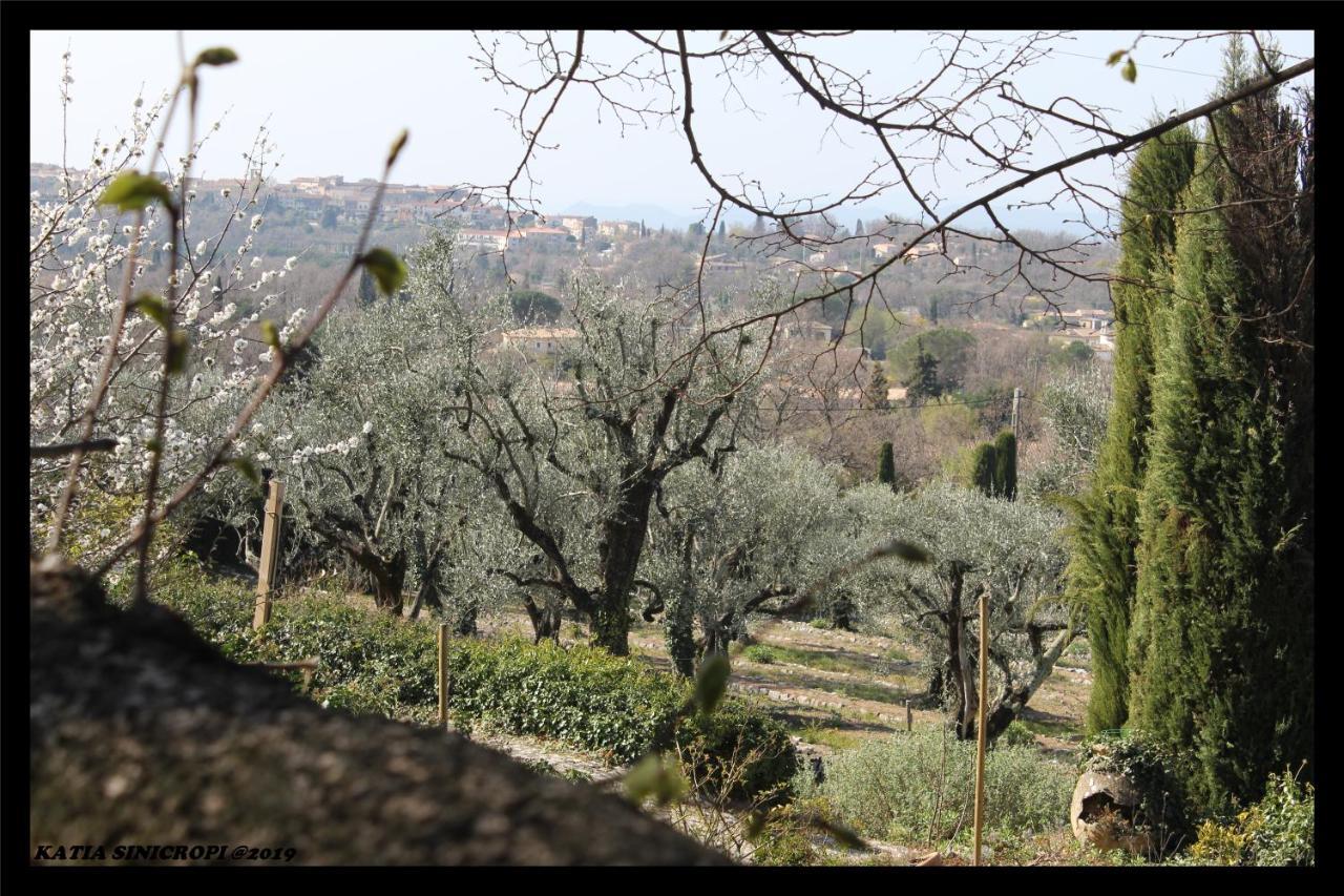 Domaine Des Tilleuls D'Or Saint-Cézaire-sur-Siagne Buitenkant foto