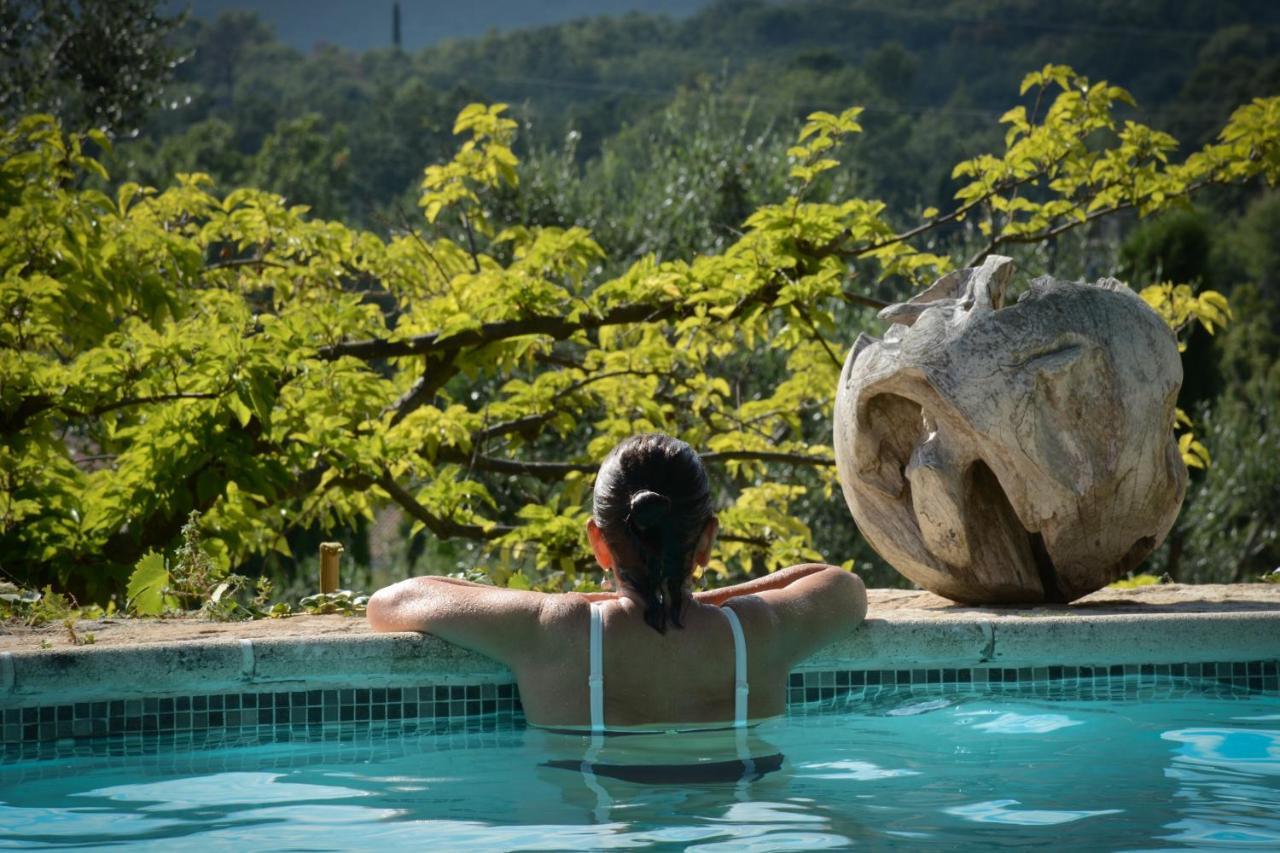 Domaine Des Tilleuls D'Or Saint-Cézaire-sur-Siagne Buitenkant foto