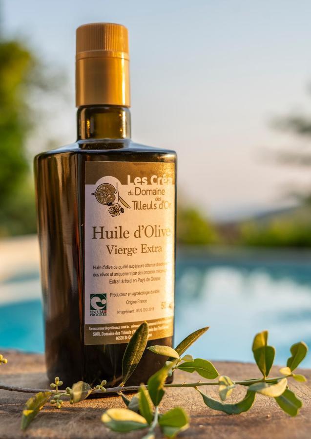 Domaine Des Tilleuls D'Or Saint-Cézaire-sur-Siagne Buitenkant foto