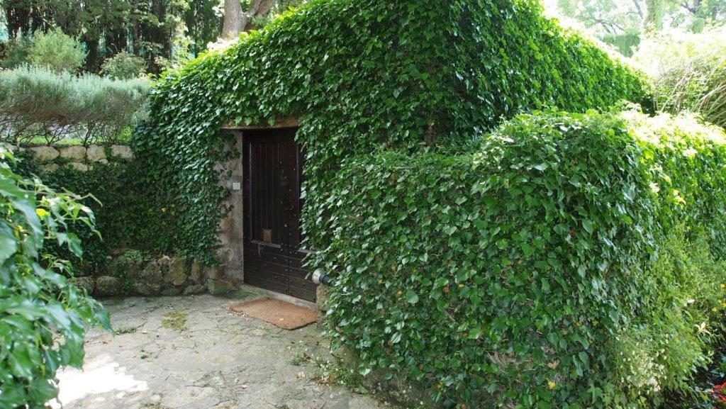 Domaine Des Tilleuls D'Or Saint-Cézaire-sur-Siagne Buitenkant foto