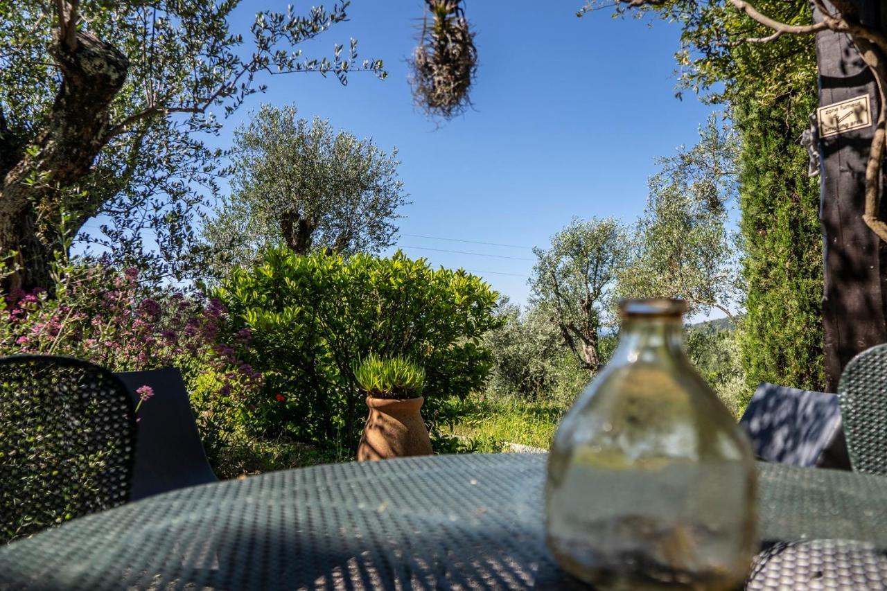 Domaine Des Tilleuls D'Or Saint-Cézaire-sur-Siagne Kamer foto